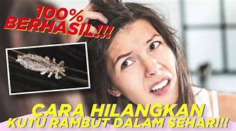 Cara Menghilangkan Kutu Rambut Dengan Sunlight